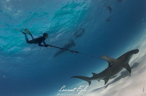 Photo by Laurent Egli