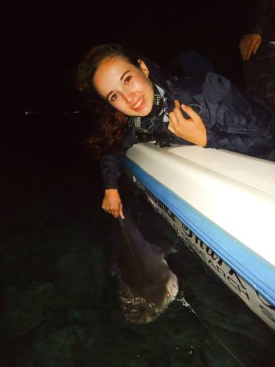 Megan collecting data with Bimini Shark Lab