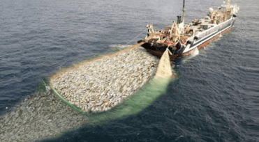 Commercial Fishing Vessel