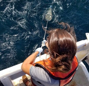 Gabrielle Corradino - Collecting Data