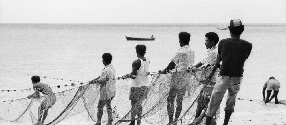 Photo courtesy of SeyCCAT (5)