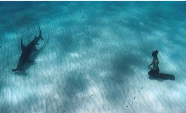 Kara and Great Hammerhead